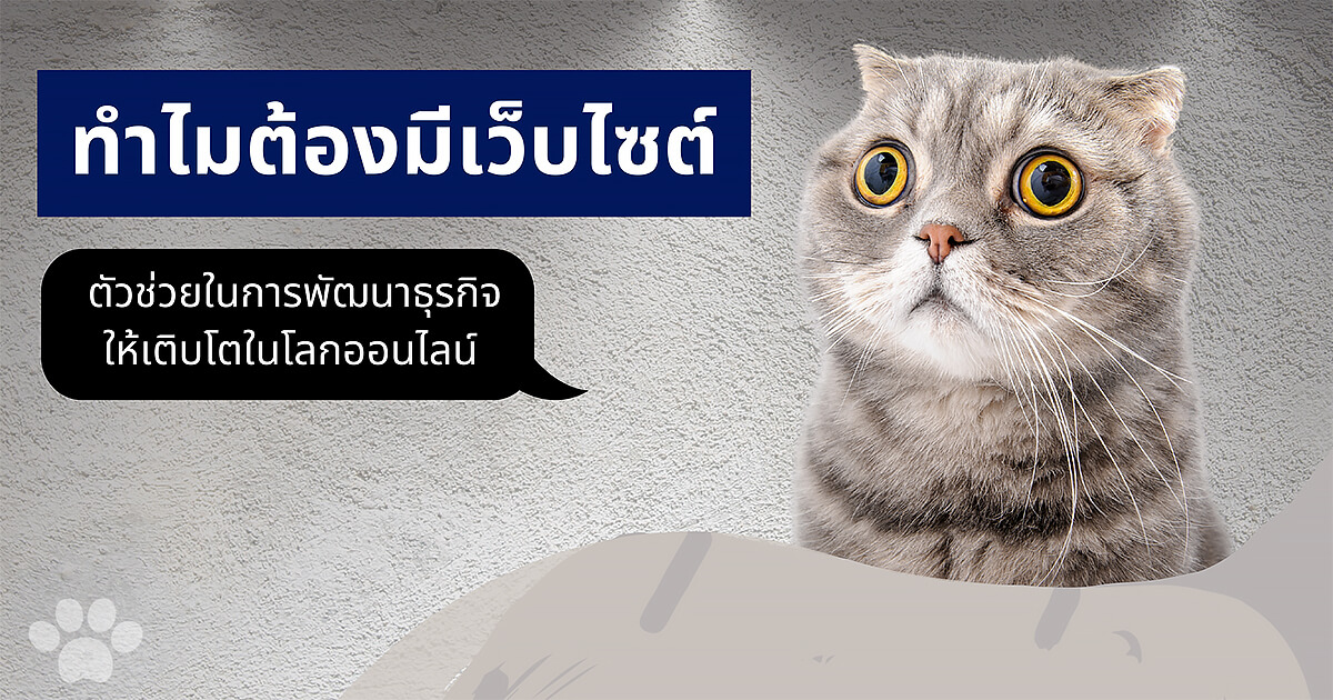 ทําไมต้องมีเว็บไซต์ !! ตัวช่วยในการพัฒนาธุรกิจให้เติบโตในโลกออนไลน์