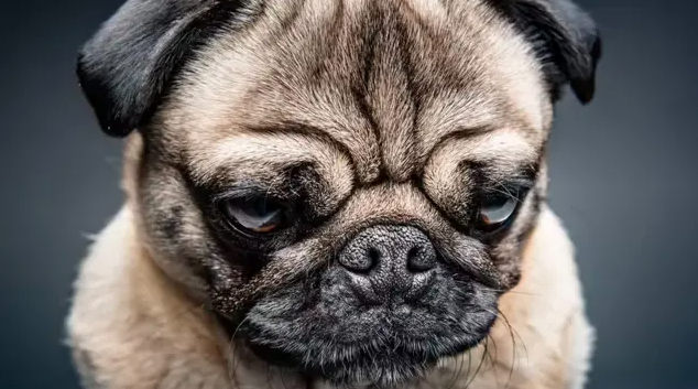 ชื่อโปรเจกต์ 1